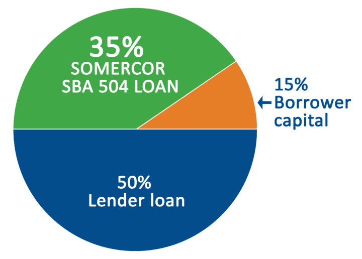 A pie chart showing the percentage of loan and mortgage borrowers.